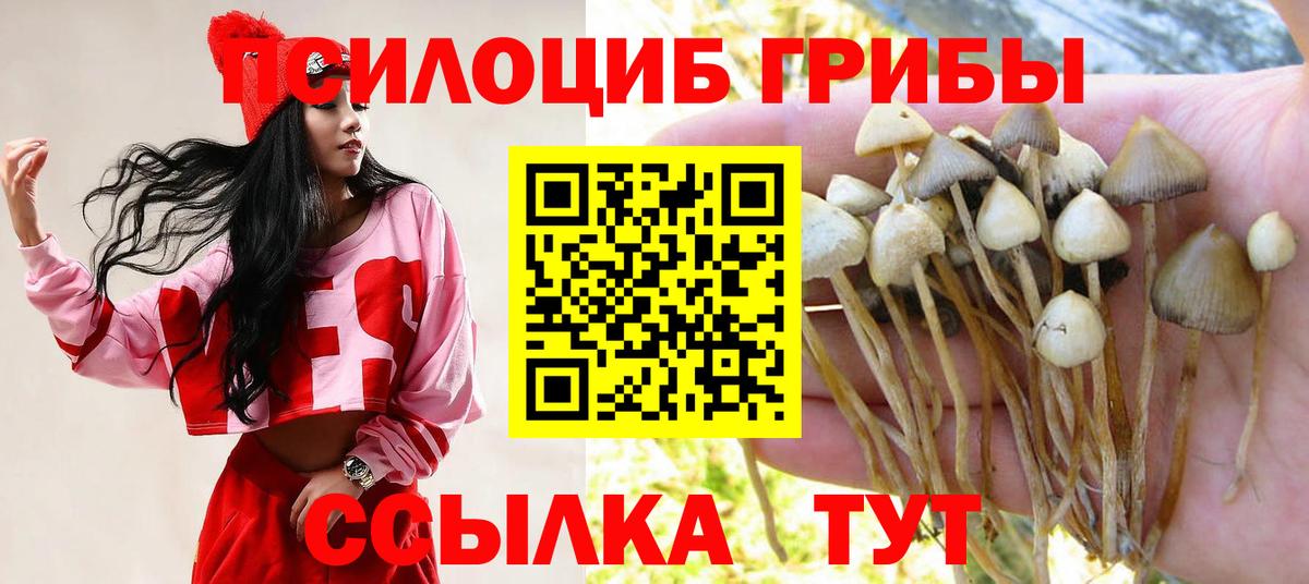 Галлюциногенные грибы ЛСД Лесной