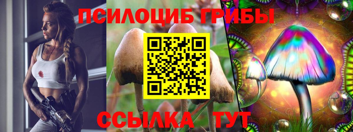 Галлюциногенные грибы MAGIC MUSHROOMS  магазин  наркотиков  Лесной 